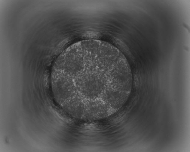 X0000100490259200807031923