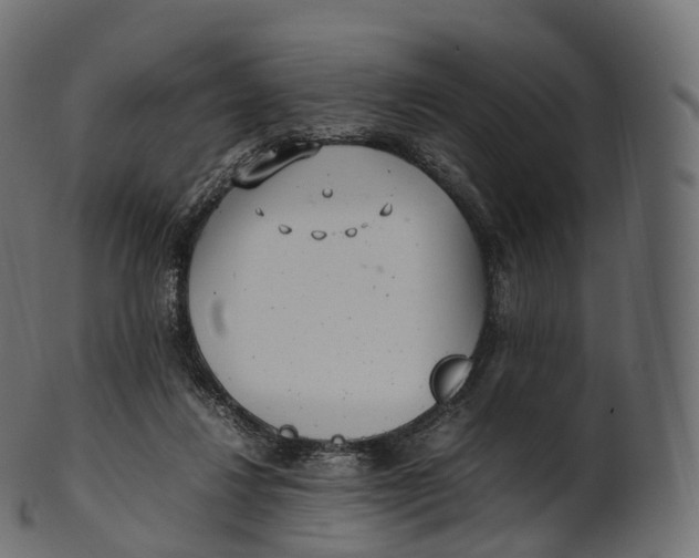 X0000100490260200807031923