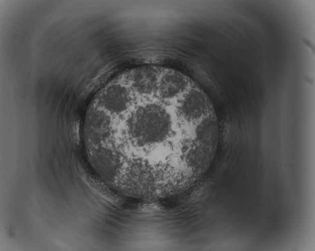 X0000100490262200807031923