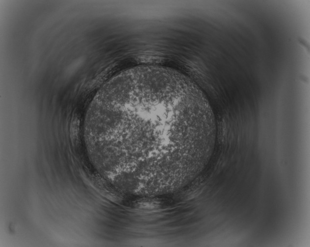 X0000100490263200807031923