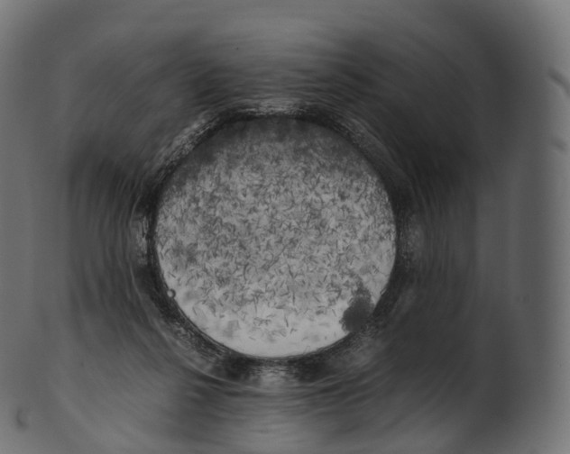 X0000100490264200807031923