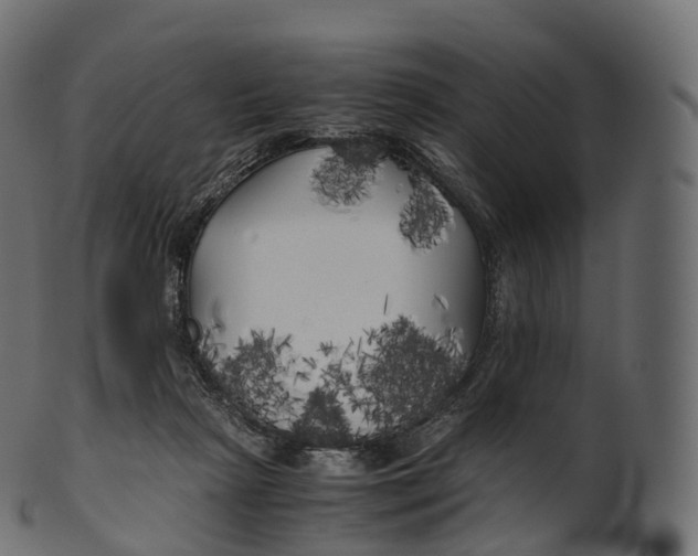 X0000100490265200807031923