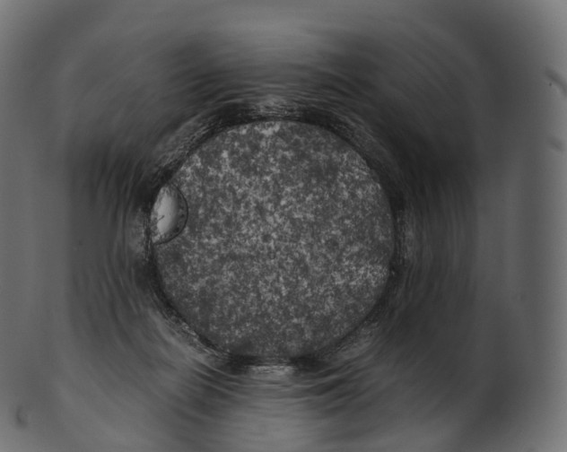 X0000100490266200807031923