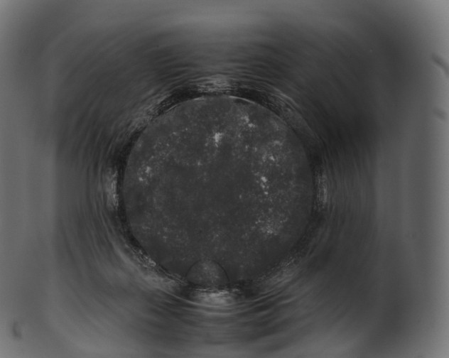 X0000100490267200807031923