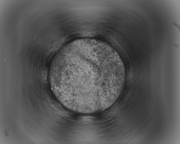 X0000100490268200807031923