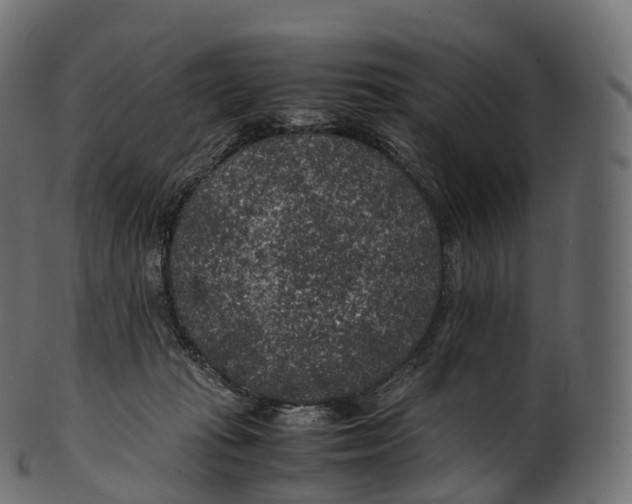 X0000100490269200807031923