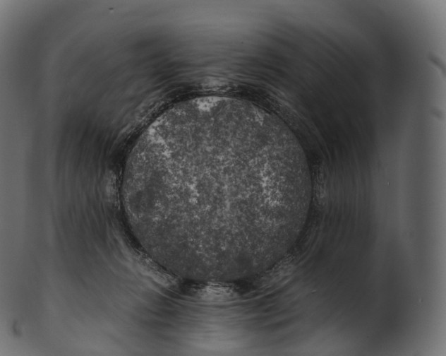 X0000100490270200807031923