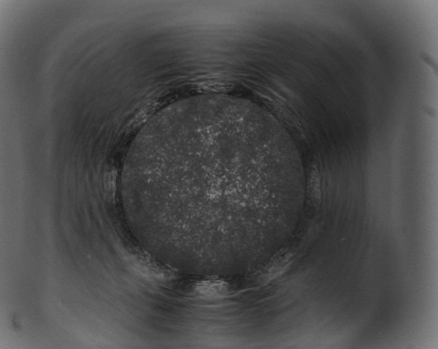 X0000100490271200807031923