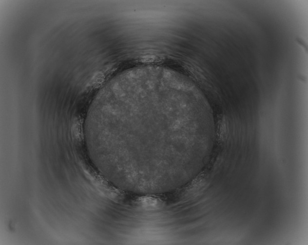 X0000100490272200807031923