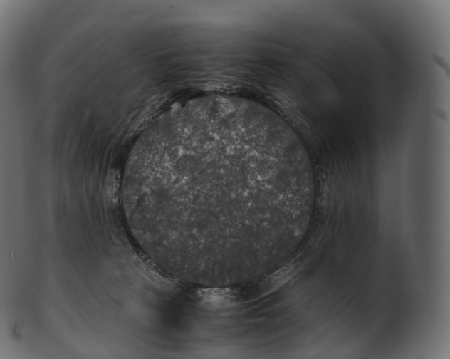 X0000100490273200807031923