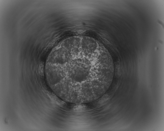 X0000100490274200807031923