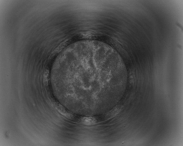 X0000100490275200807031923