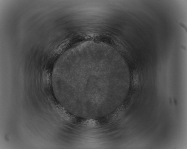 X0000100490276200807031923