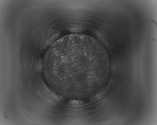 X0000100490277200807031923