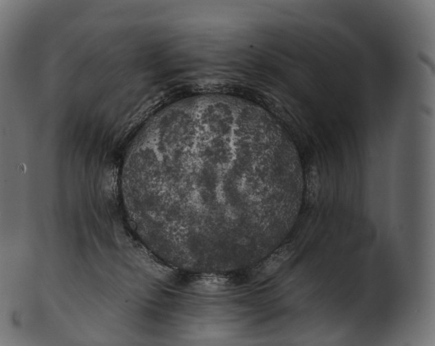 X0000100490278200807031923