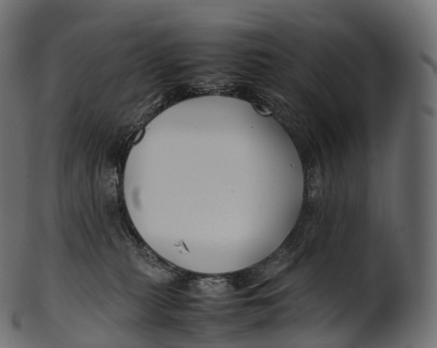 X0000100490279200807031923