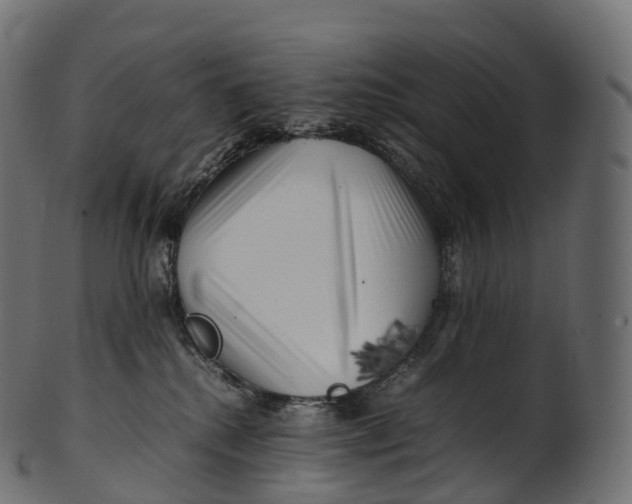 X0000100490280200807031923