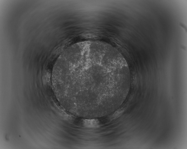 X0000100490281200807031923