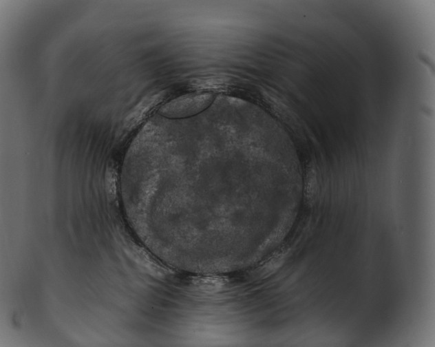 X0000100490282200807031923