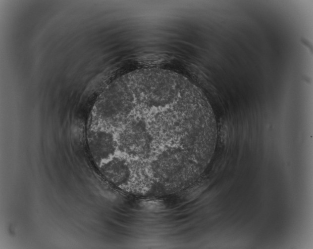 X0000100490283200807031923