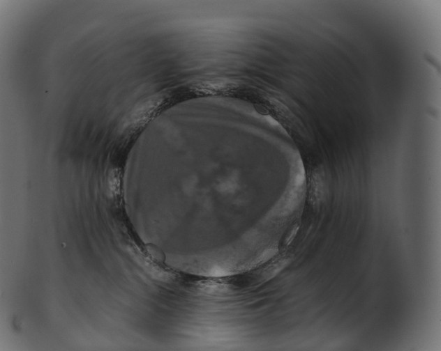 X0000100490284200807031923