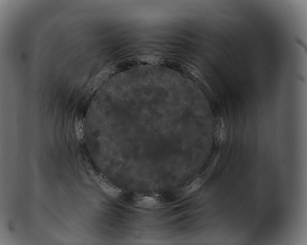 X0000100490285200807031923