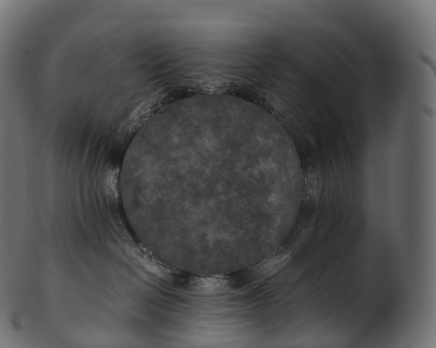 X0000100490286200807031923