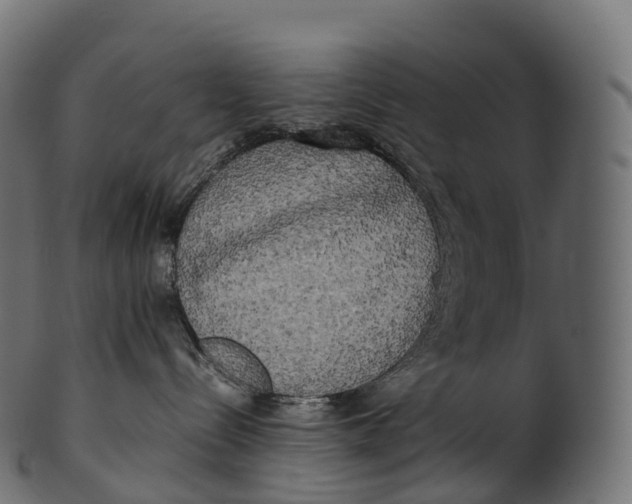 X0000100490288200807031923