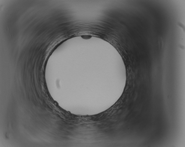 X0000100490289200807031923