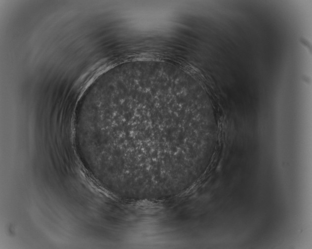 X0000100490290200807031923