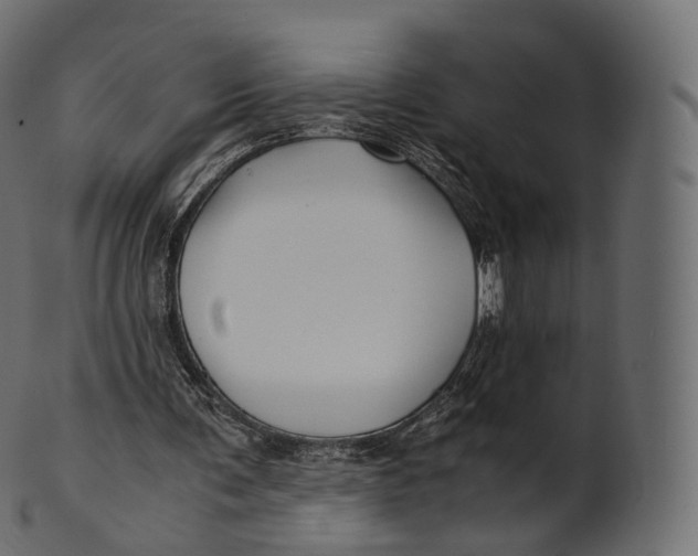 X0000100490291200807031923