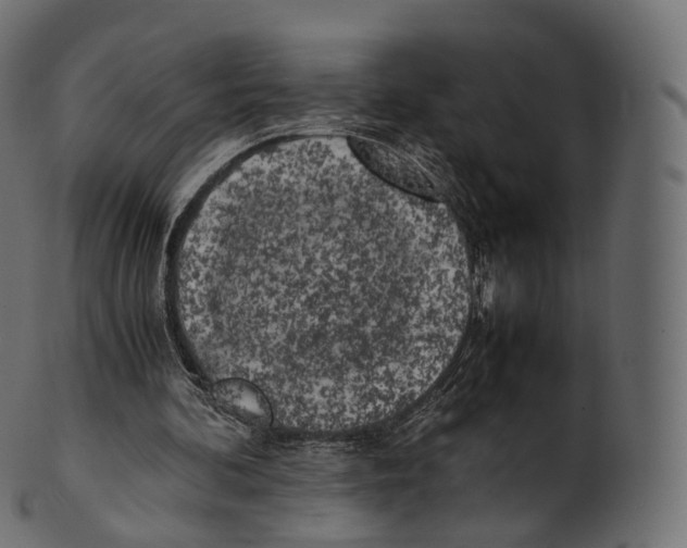 X0000100490292200807031923