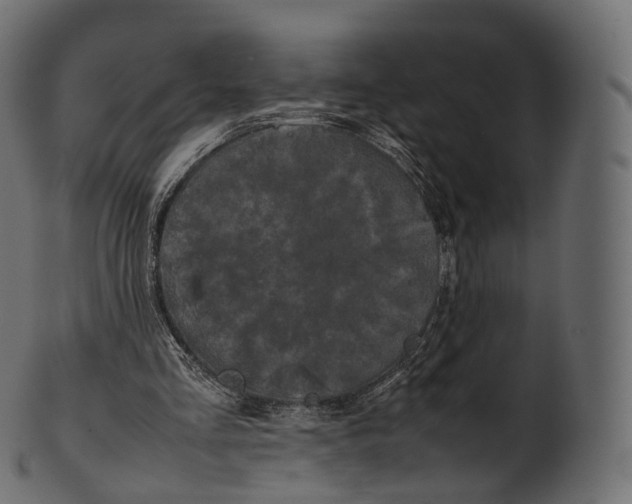 X0000100490293200807031923