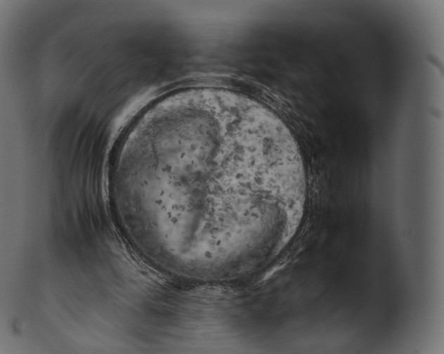 X0000100490294200807031923