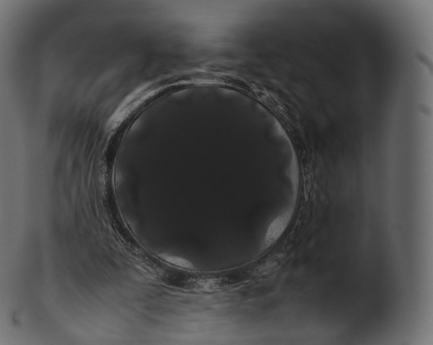 X0000100490295200807031923