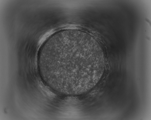 X0000100490296200807031923