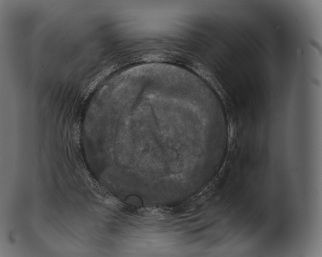 X0000100490297200807031923