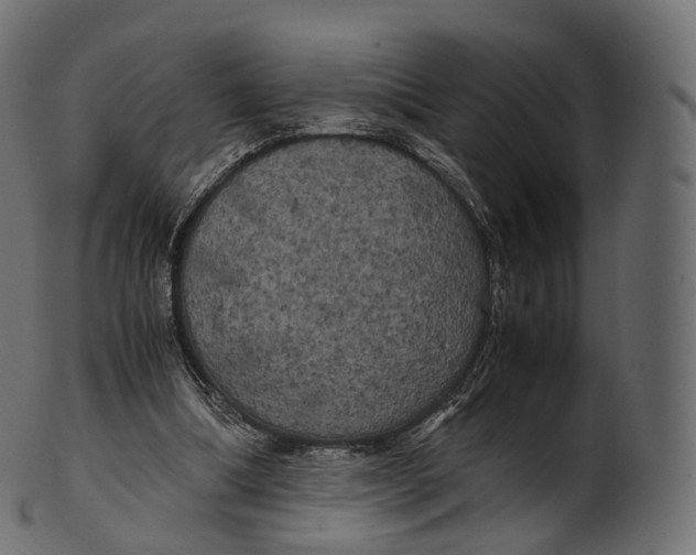 X0000100490298200807031923