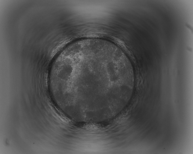 X0000100490299200807031923