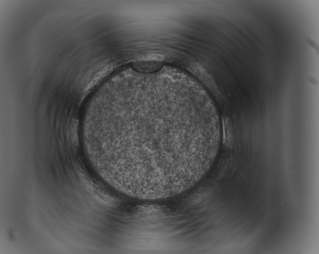 X0000100490300200807031923