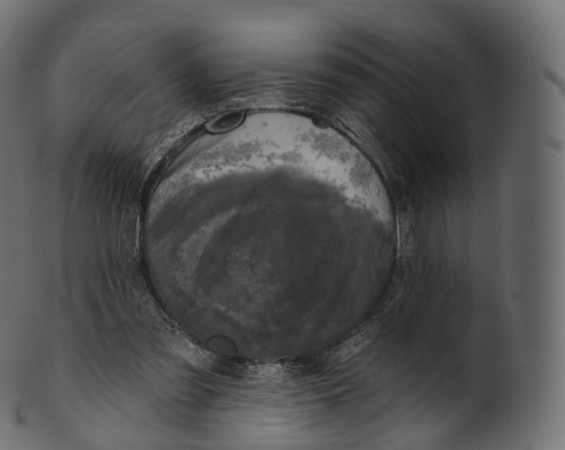 X0000100490301200807031923