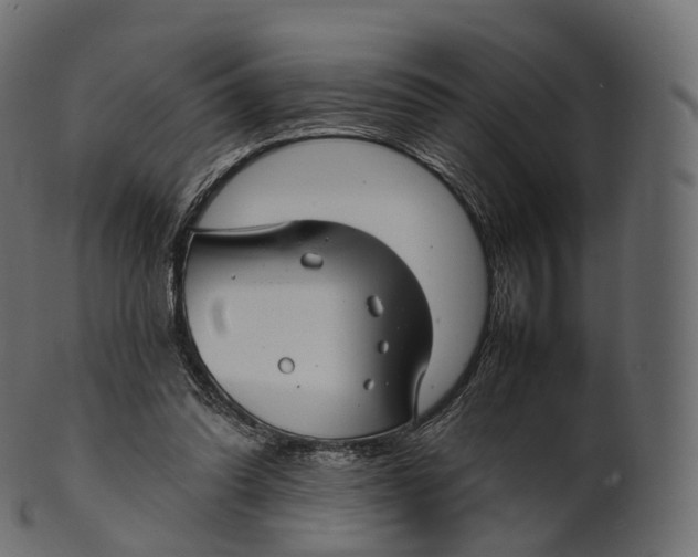 X0000100490302200807031923