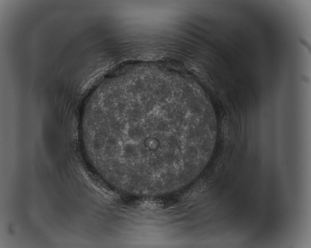 X0000100490303200807031923