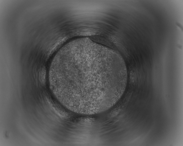 X0000100490304200807031923