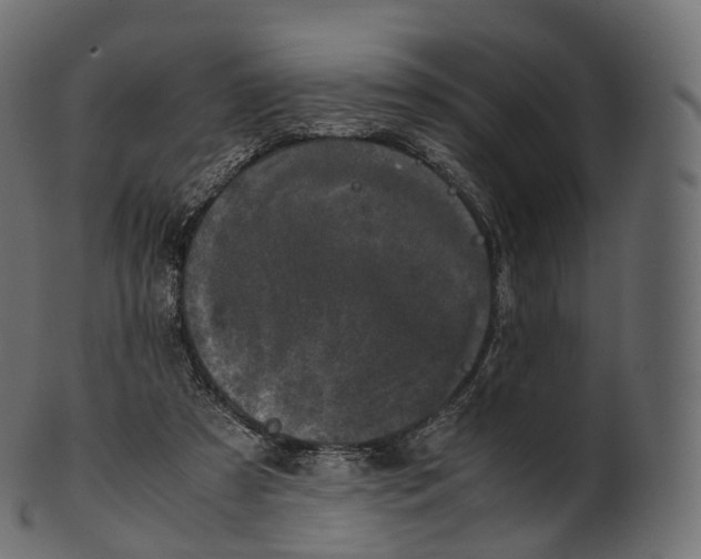 X0000100490305200807031923