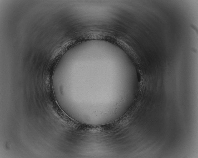 X0000100490306200807031922