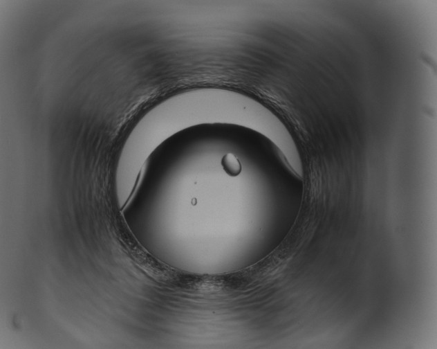 X0000100490308200807031922