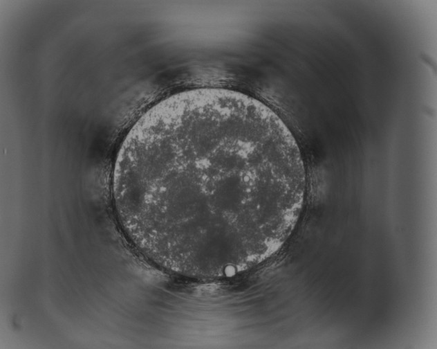 X0000100490309200807031922