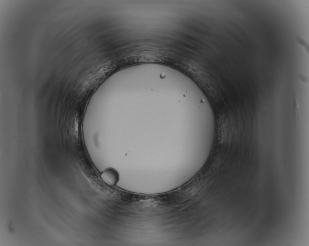 X0000100490310200807031922