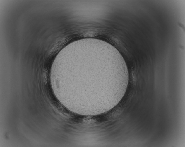 X0000100490311200807031922